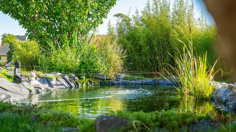 Le Jardin du Reiki à Westhouse-Marmoutier (près de Saverne)