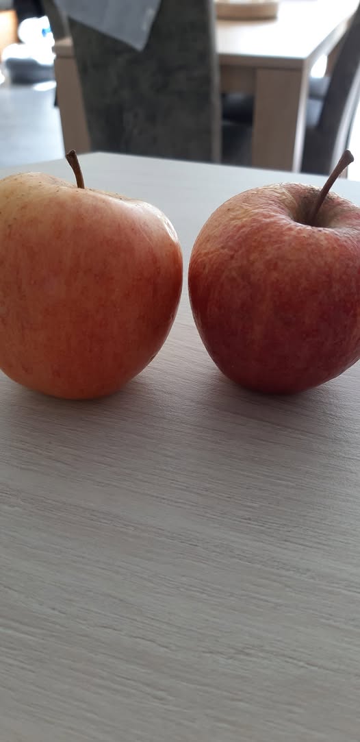 Expérience avec deux pommes