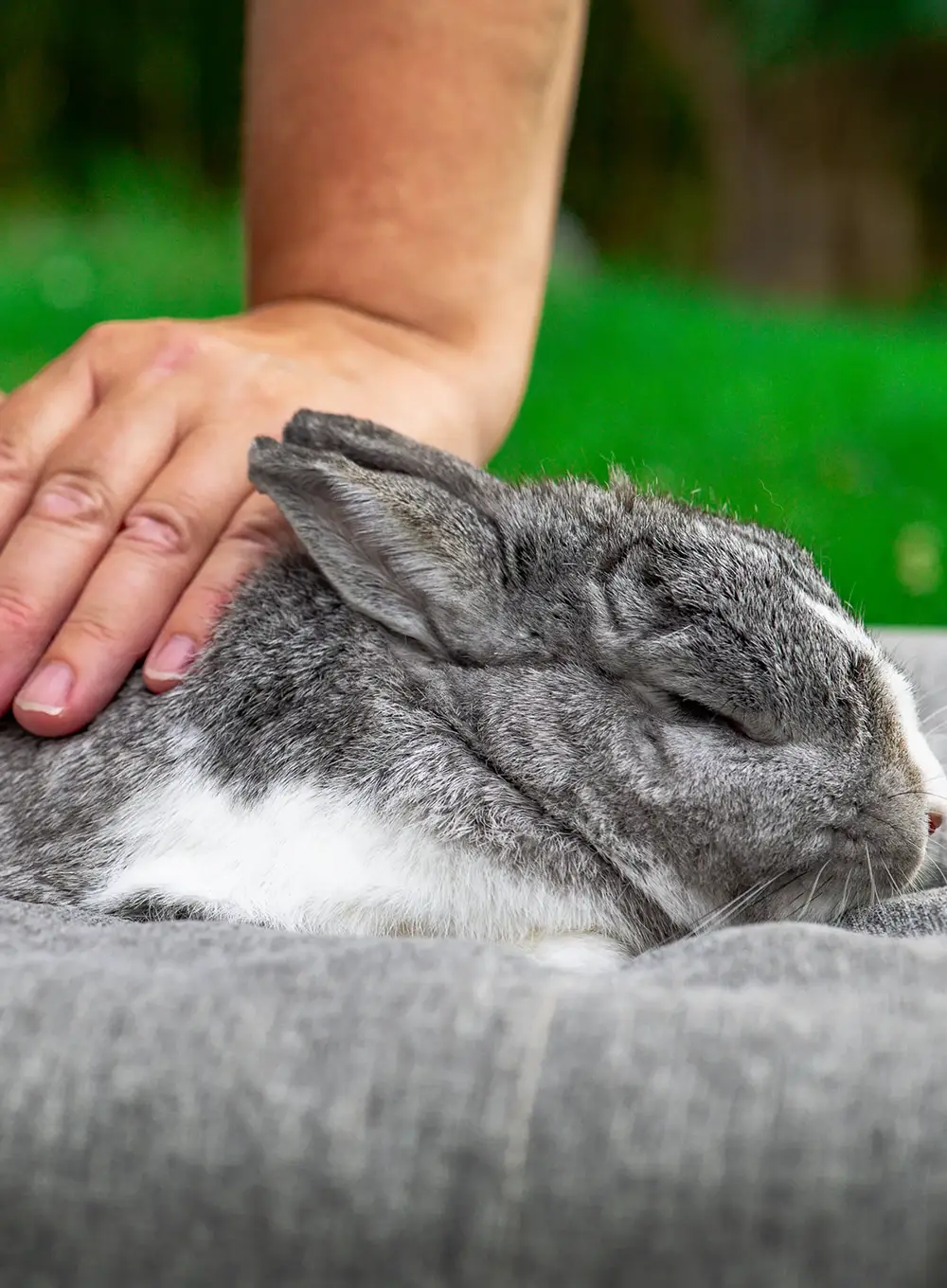 Ambiance douce pour une séance de Reiki